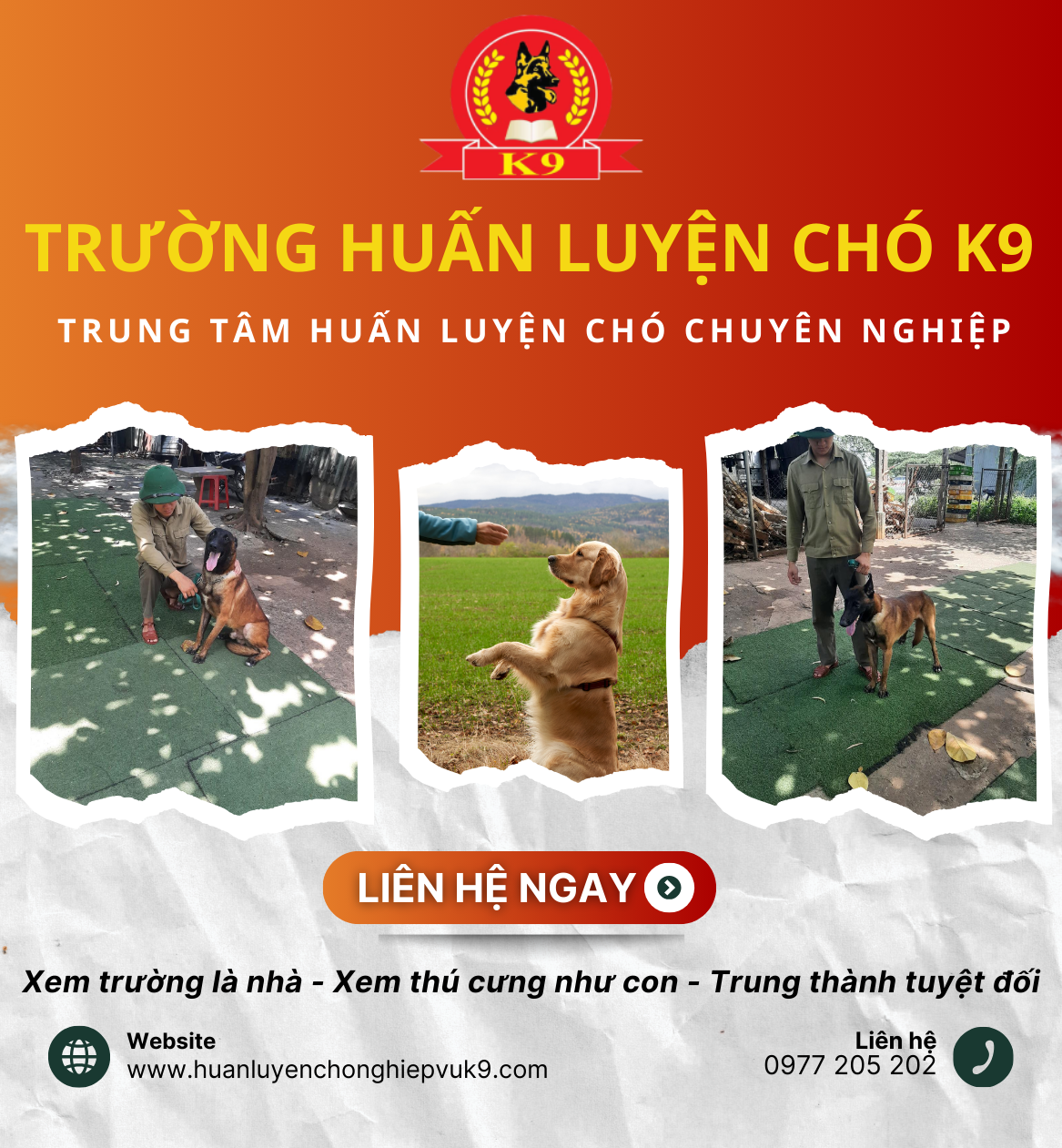 VỀ CHÚNG TÔI